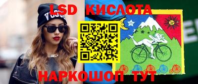 шишки Камышлов