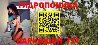 шишки Камышлов