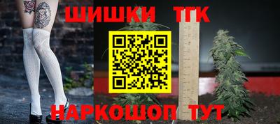 шишки Камышлов