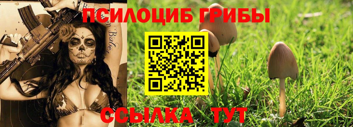 Галлюциногенные грибы GOLDEN TEACHER  Вход с VPN  Аксай 